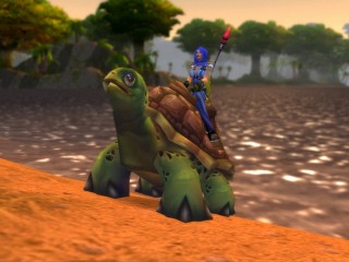 Trois ! Deux ! Un ! Lancez vos tortues au galop !