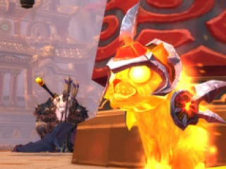 Un chaton de braise pour les victimes de l'ouragan Sandy