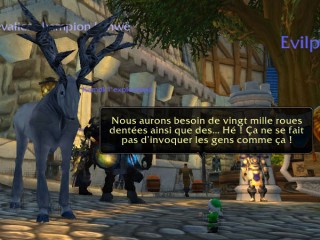 Combats de mascottes désactivés sur la beta de MoP